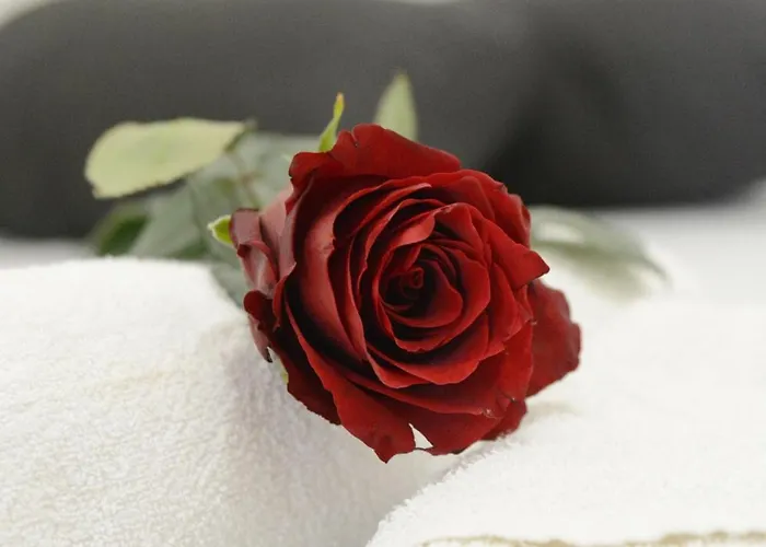 Ap - Lido San Giovanni *